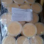 Mango Pudding
