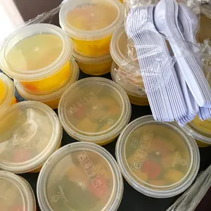 Agar Agar w Fruit Cocktail In Cup