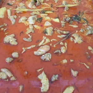 咖哩鸡肉 Curry Chicken