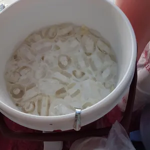 蜜瓜西米露 Honey Dew w/ Sago