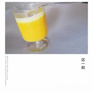 Mango Pudding with Vanilla Flan