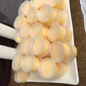 Mango Pudding