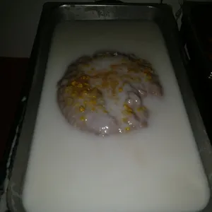 芋泥椰浆 Yam Paste w/ Coconut milk 