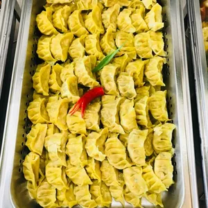 Vegetable Gyoza with Vinegar Dressing