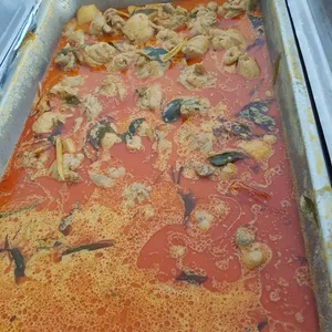 咖哩鸡肉 Curry Chicken