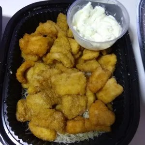 Breaded Fish Fillet with Tar Tar Sauce