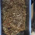 Fried Hong Kong Mee*