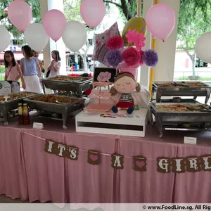 Pretty in Pink Party Theme (Baby Girl)
