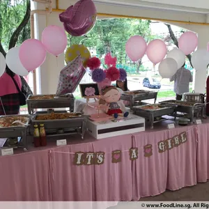 Pretty in Pink Party Theme (Baby Girl)