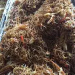 Fried Tang Hoon • 干炒冬粉