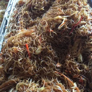 Fried Tang Hoon • 干炒冬粉