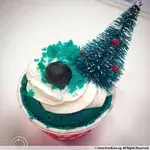 Assorted Cup Cakes