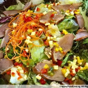 Aromatic Crispy Smoked Duck Salad (Served with Mixed Greens, Red Onions Rings, Vine Tomatoes, Red Radish & Sjora Mango Chili Dressing)