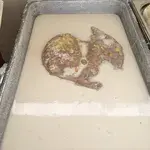 Yam Paste w/ Coconut Milk •芋泥椰浆(Chef's Recommended)