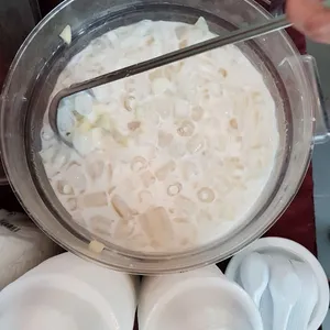 Honeydew Sago