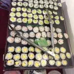 Japanese Maki Platter