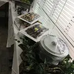 Chocolate Éclair & Fruit Tarts (巧克力泡芙+水果挞)