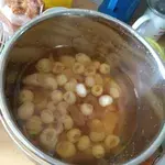 Honey Sea Coconut with Mixed Fruit 冷冻海底椰炸果