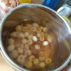Honey Sea Coconut with Mixed Fruit 冷冻海底椰炸果