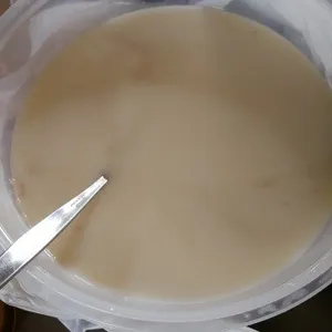 Steamed Yam Paste with Gingko Nut 蒸芋泥白果