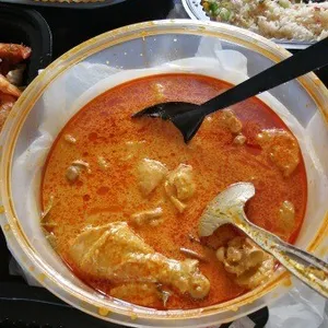 Signature Nonya Curry Chicken 招牌娘惹咖哩鸡