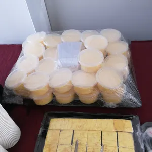 Mango Pudding