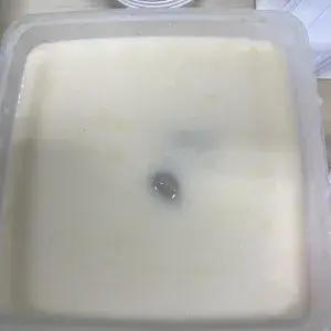 白果芋泥 Sweet Yam w/ Ginko Nuts