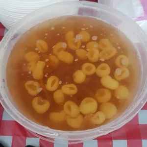 Honey Sea Coconut with Longan 冷冻海底椰龙眼
