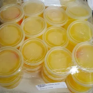 Agar Agar w Fruit Cocktail In Cup
