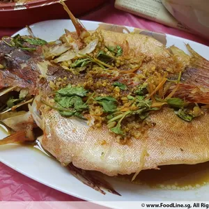 Hong Kong Steamed Red Grouper<br>