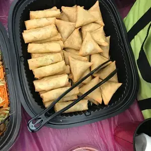Spring Roll and Samosa