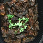 卤汁软骨 Braised Soft Bone