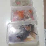 Meal Container: Microwavable container