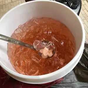 海底椰龙眼 Honey Sea Coconut w/ Longan