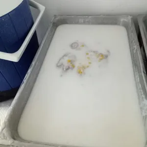 芋泥椰浆 Yam Paste w/ Coconut milk 