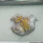 芋泥椰浆 Yam Paste w/ Coconut milk 