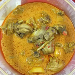 咖哩鸡肉 Curry Chicken