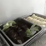 扣肉包 Chinese Bun w/ Stewed Pork