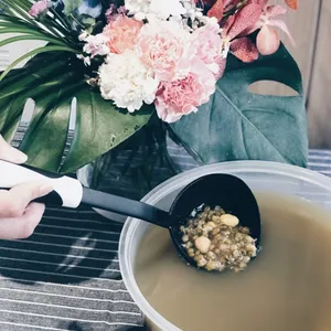白果绿豆汤 Green bean soup w/ ginko nuts