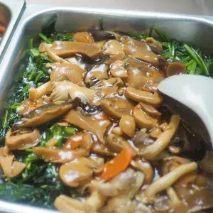 鲍鱼菇菠菜 Spinach w/Abalone Mushroom