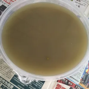 白果绿豆汤 Green bean soup w/ ginko nuts