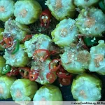 Steamed Chicken Siew Mai 蒸鸡肉烧卖