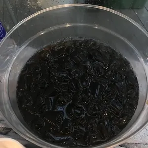 Grass Jelly with Longan