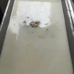 芋泥椰浆 Yam Paste w/ Coconut milk