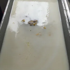 芋泥椰浆 Yam Paste w/ Coconut milk 