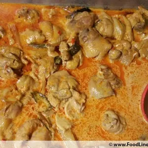 咖哩鸡肉 Curry Chicken