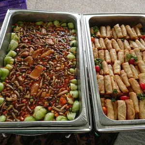 Spring Roll (Vegetarian) (DF)