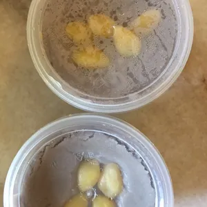 2x Yam Paste With Gingko Nut @$3