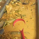 咖哩什菜 Curry Vegetable