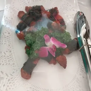 Seaweed Chicken 紫菜鸡